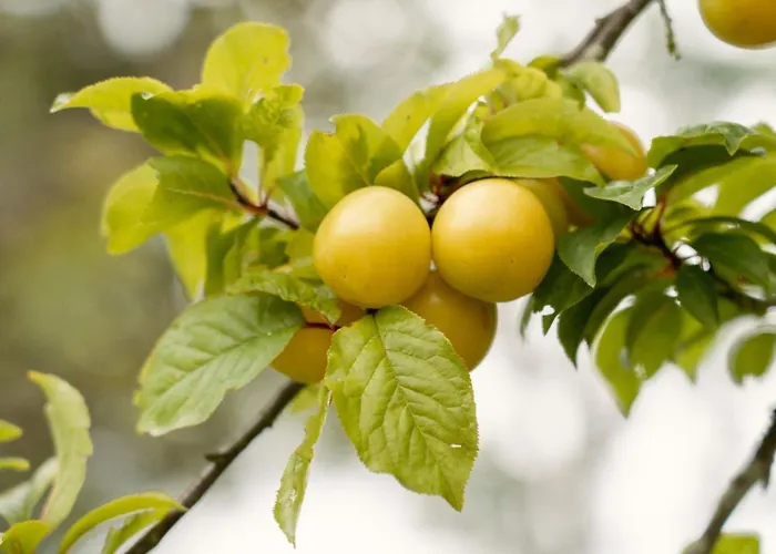 펜션 Casa Abuela Toni 오비에도